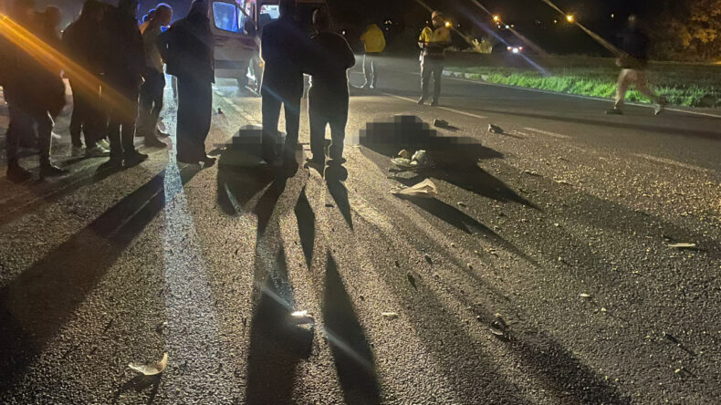 Feci Kaza: Kamyonetin Çarptığı İki Yaya Hayatını Kaybetti