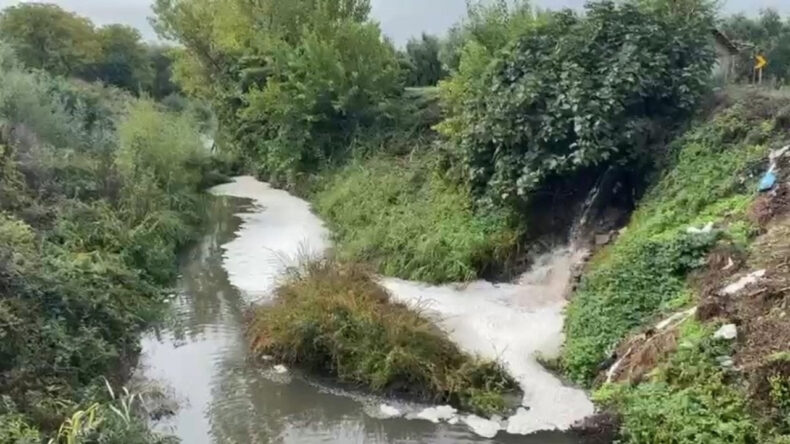 Gemlik Körfezi İçin Alarm Zamanı: Endişeler Artıyor