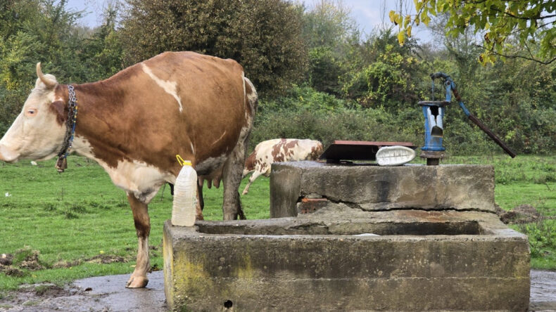 Genç Kızın Cesedi Su Kuyusundan Çıktı