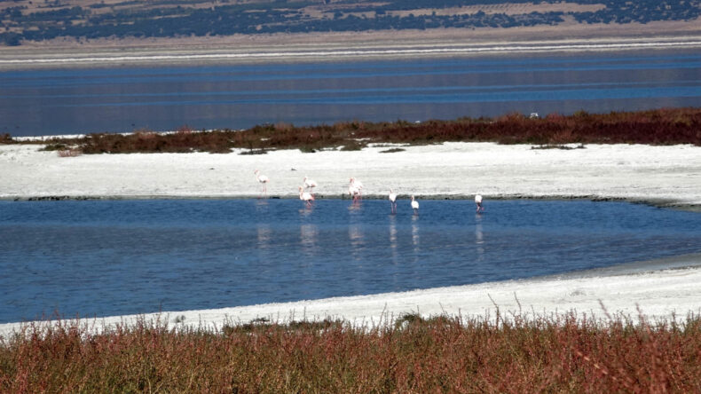 Göller için kritik uyarı: Hepsi küçülme trendinde