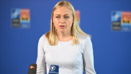 Gürcistan'da Finlandiyalı Bakana Cezai İşlem