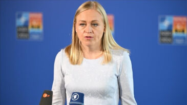 Gürcistan'da Finlandiyalı Bakana Cezai İşlem