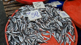 Hamsi Fiyatlarında Düşüş: 'Sigaradan Daha Ucuz'