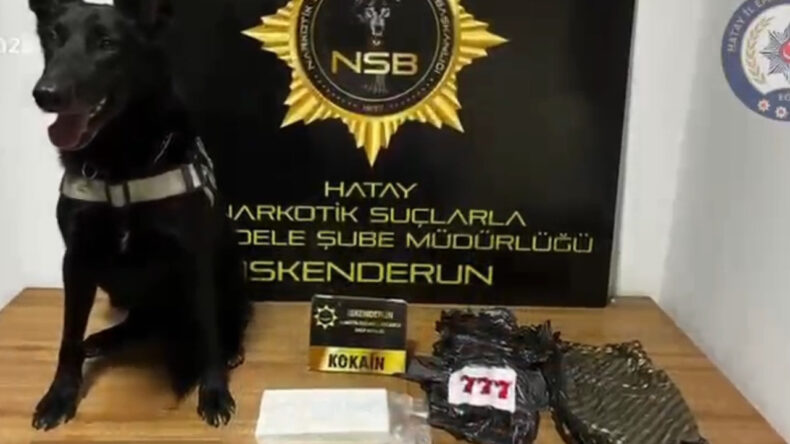 Hatay'da 5 Milyon 500 Bin TL Tutarında Kokain Yakalandı