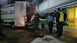 Hayvan Otlatma Tartışması: 2 Kayıp