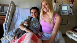 Hemoroid Zannetti, 3. Evre Kolon Kanseri Teşhisi Aldı