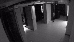 Hırsızlık Olayı Sonrası Bir Mahalle İki Gün İnsansız Kaldı