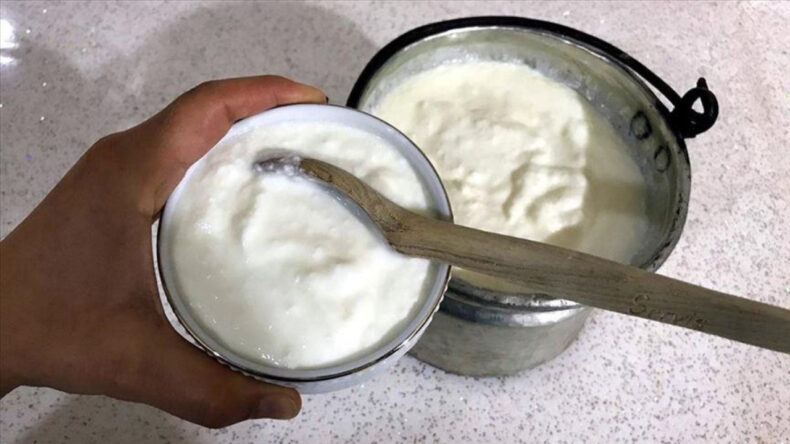 İngiltere'de Dikkat Çeken Kefir Araştırması