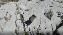 Isparta'da Kaçak Avcı Dronla Yakalandı