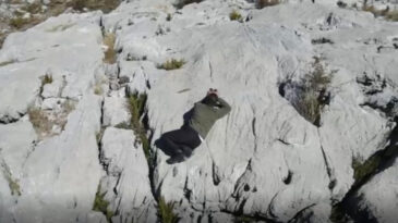 Isparta'da Ka&ccedil;ak Avcı Dronla Yakalandı