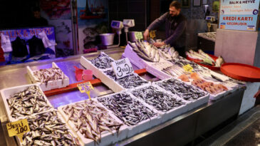 İstanbul'da bir kilosu 200, Trabzon'da &uuml;&ccedil; kilosu 200 lira