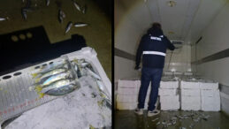 İstavrite Boy Denetimi: 845 Kilo Balığa El Kondu