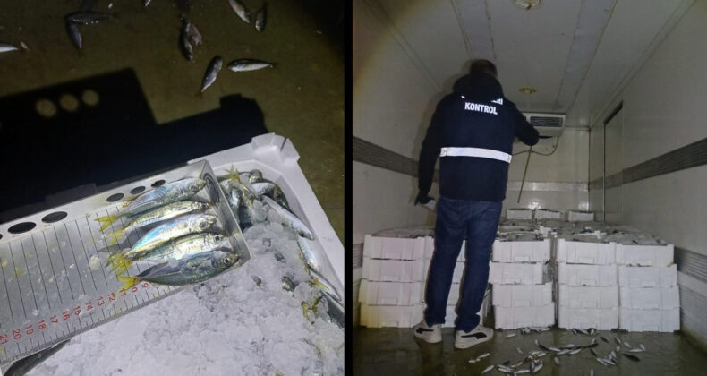 İstavrite Boy Denetimi: 845 Kilo Balığa El Kondu