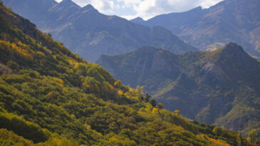 İsvi&ccedil;re Değil Tunceli