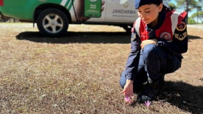 Jandarma Sultan &Ccedil;iğdemi N&ouml;betinde, Koparana 557 Bin TL Ceza!