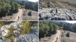 Ka&ccedil;ak Avcı Bu Kez Av Oldu