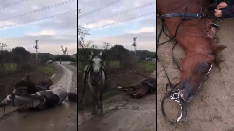 Kaçak Elektrik Felaketi