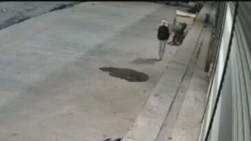 Kafasına Poşet Ge&ccedil;irip G&uuml;vercin &Ccedil;aldı