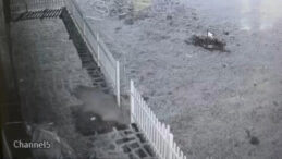 Kapıyı Hırsız Zorluyor Sandı, Meğer Ayıymış