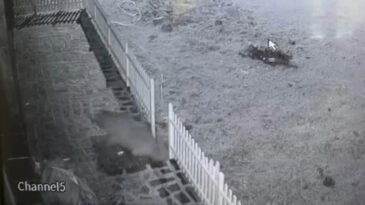 Kapıyı Hırsız Zorluyor Sandı, Meğer Ayıymış