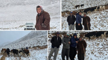 Kar Aniden Bastırınca 30 İneğiyle Birlikte Yaylada Mahsur Kaldı