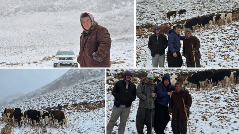 Kar Aniden Bastırınca 30 İneğiyle Birlikte Yaylada Mahsur Kaldı