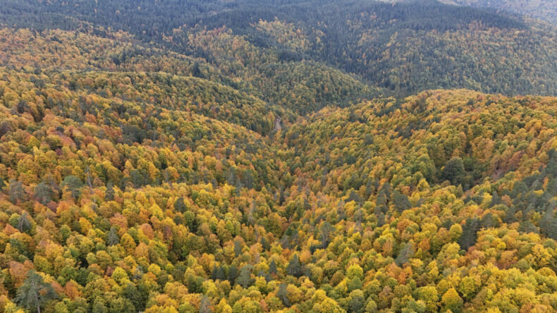 Karabük'te Sonbahar Renkleri