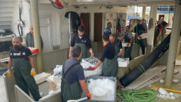 Karadeniz Hamsi İle Dolu: Denizden Kasalarla Döndüler