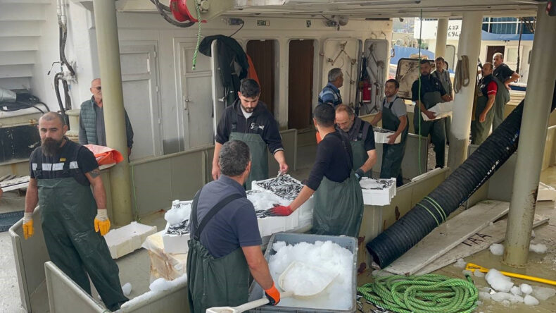 Karadeniz Hamsi İle Dolu: Denizden Kasalarla Döndüler
