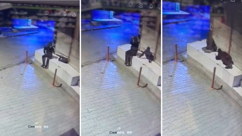 Kepengi Aralayıp İçeri Sürünerek Girdi, 25 Cep Telefonu Çaldı