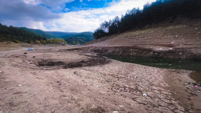 Kuraklık Tehdidi: Meyve ve Sebze Üretimi Tehlikede