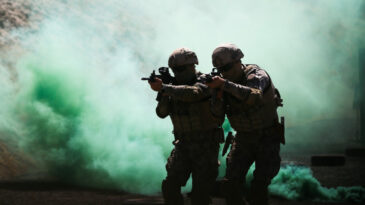 Lider 'Piro': Beş İlde Su&ccedil; &Ouml;rg&uuml;t&uuml;ne Operasyon