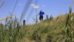 Mantar Toplamak İçin Ormana Giden Vatandaş Bulundu