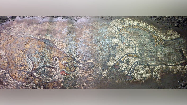 Mardin’de 1500 Yıllık Mozaik Ele Geçirildi