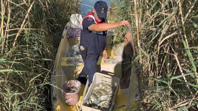 Mavi Yengeç Avcıları Ele Geçirildi