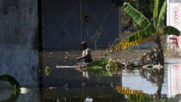 Meksika'da Sel Felaketi: Can Kayıpları Artıyor
