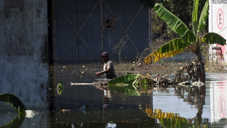 Meksika'da Sel Felaketi: Can Kayıpları Artıyor