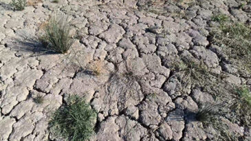 Meteoroloji'den &Ccedil;arpıcı Rapor: Yağışlar 52 Yılın En D&uuml;ş&uuml;k Seviyesinde