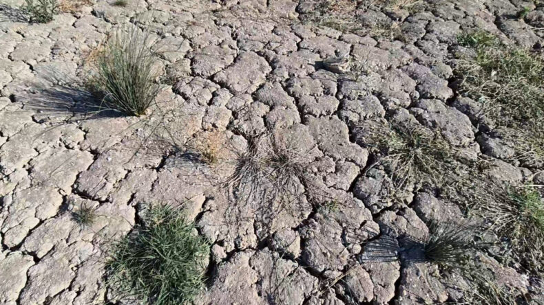 Meteoroloji'den Çarpıcı Rapor: Yağışlar 52 Yılın En Düşük Seviyesinde