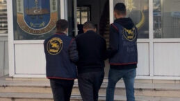 Metrelerce Sürüklenen Köpek Öldü, Sürücü Gözaltına Alındı