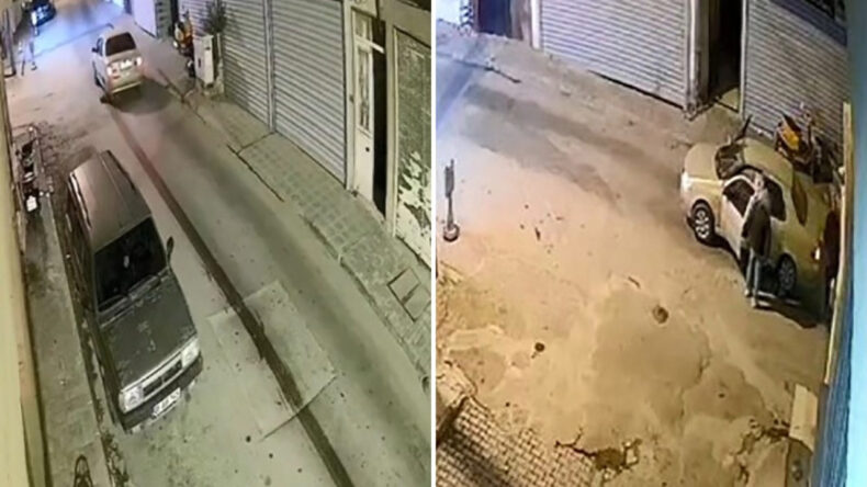 Nesli Tehlike Altındaki Hayvanı Metrelerce Sürükledi