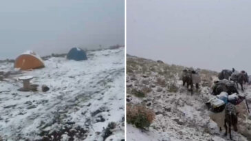 Niğde'de Kar Yağışı Nedeniyle 4 Dağcı Mahsur Kaldı