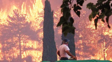 OGM, Gelecek Yıl Hava Aracı Alımını İptal Etti