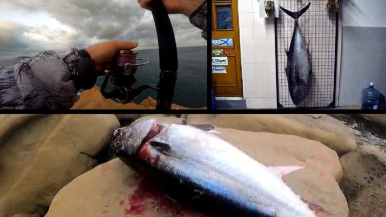 Oltayı Attı, İnsan Boyunda Balığı Yakaladı