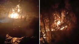 Orman Yangını Nedeniyle Yargılanan 5 Kişiye Tahliye