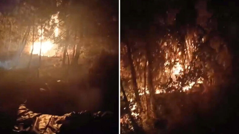 Orman Yangını Nedeniyle Yargılanan 5 Kişiye Tahliye