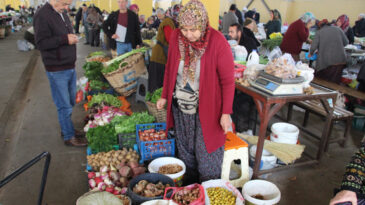 Ormandan Toplanan Mantarlar Pazarda 400 Liraya Satılıyor