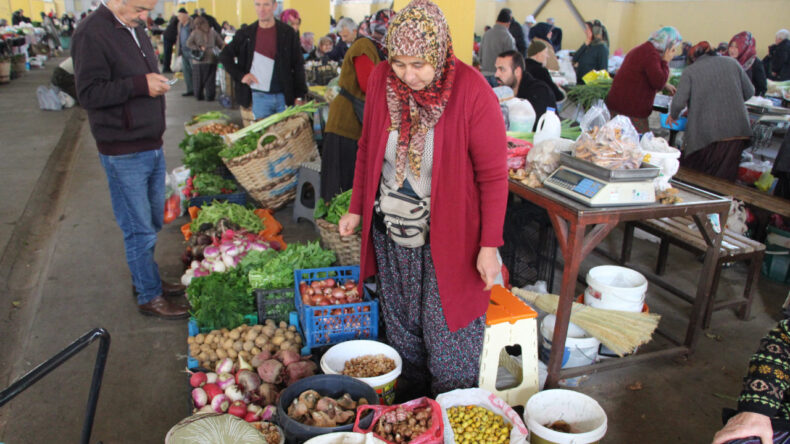 Ormandan Toplanan Mantarlar Pazarda 400 Liraya Satılıyor