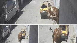 &Ouml;zkonak'ta Boğa Ka&ccedil;ışı: Otomobile Zarar Verdi
