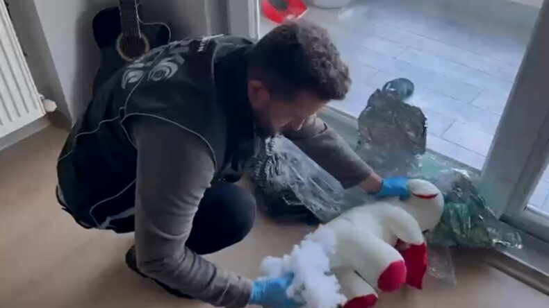 Oyuncak Ayı İçinden Kokain Çıktı